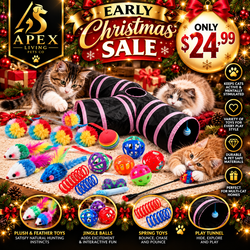 Apex PounceCircuit™ Interactive Cat Track Toy Apex Living Pets Co