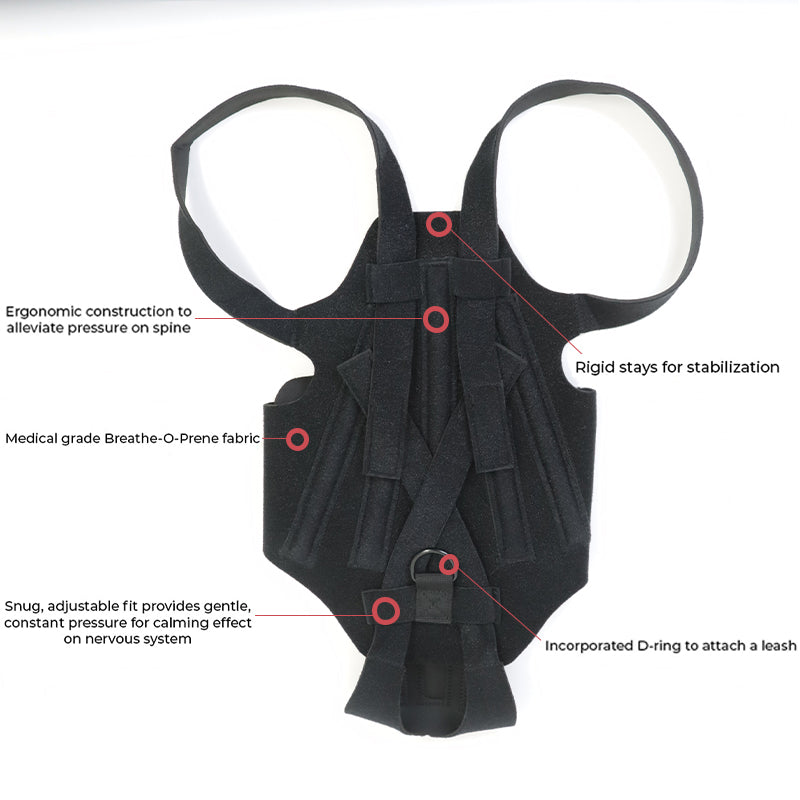 Apex Mobility Recovery Wrap™