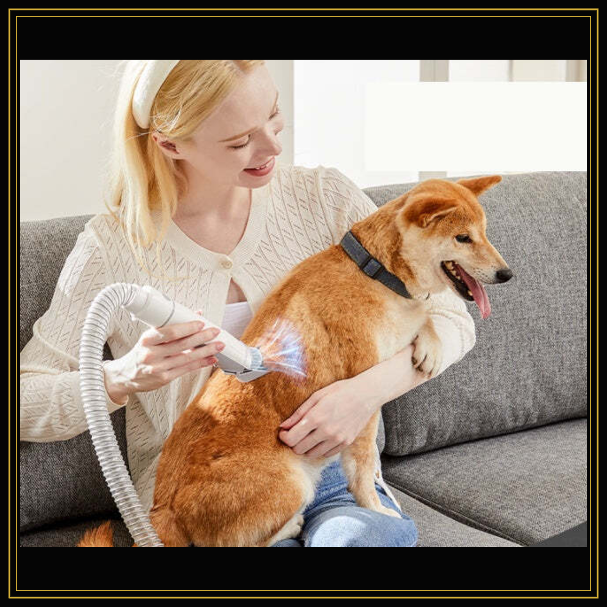 Dog being groomed at home with the ApexGroom system
