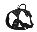 Apex SafeStride™ Pet Vest Harness