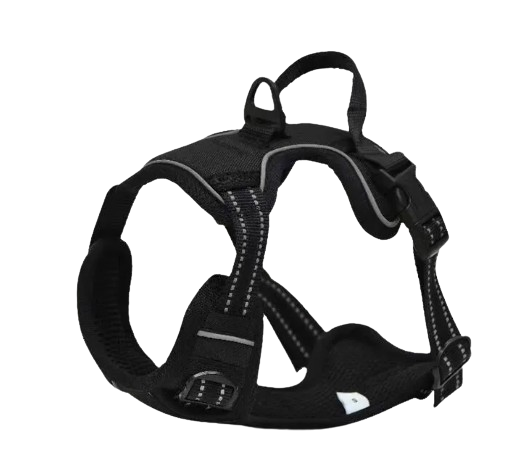 Apex SafeStride™ Pet Vest Harness
