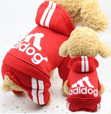 Apex CozyWear™ Warm Dog Outfit
