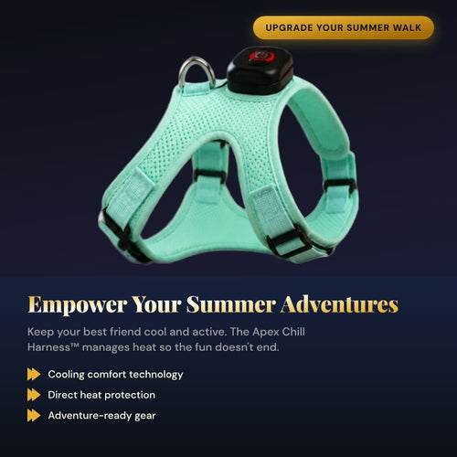 Apex ChillFlow™ Cooling Harness Apex Living Pets Co