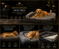 Restore Recovery Bundle with orthopedic pet bed